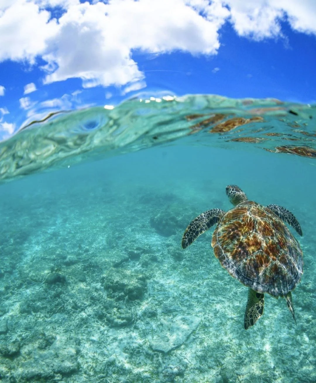 日本冲绳|好想时空定格在此－小众波照间海