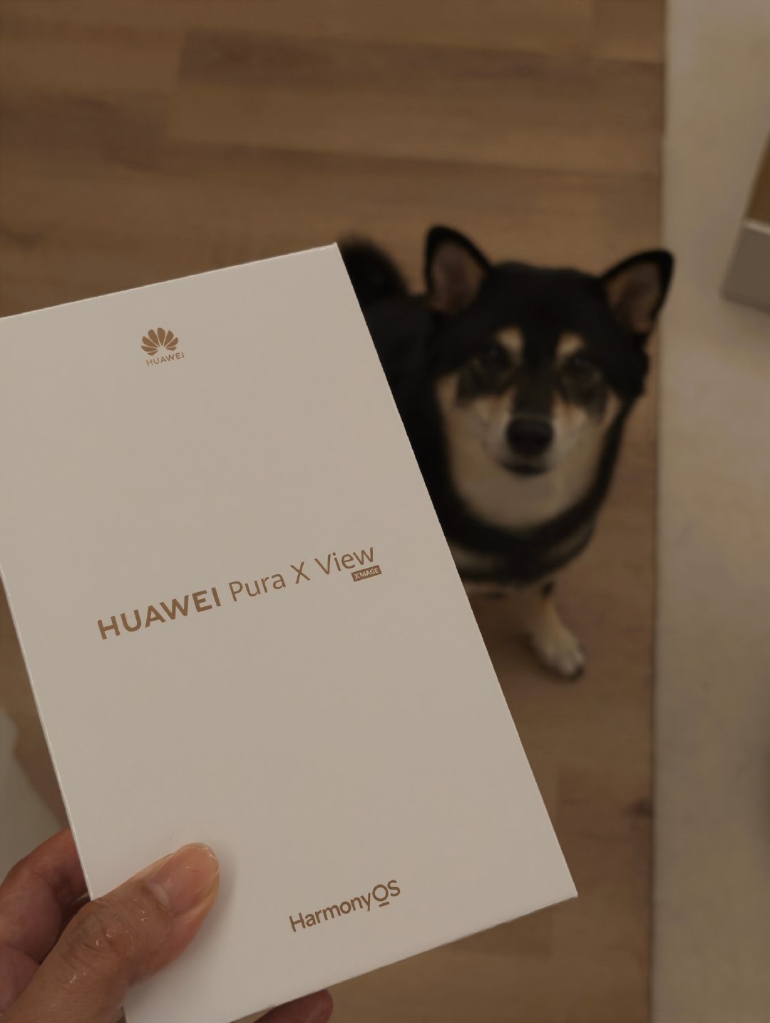 诶遛狗捡到一台牛逼新机[点赞] ​