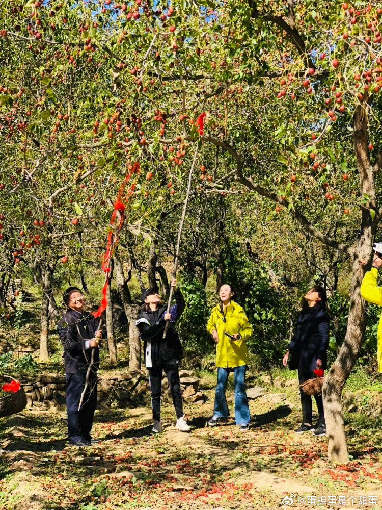 #景甜[超话]#  [加油]#景甜你是真的很不错# [加油]#景甜景上添花# 

广东的初秋终于迎来了实感了，就是要上班不然这天气可以去走山​