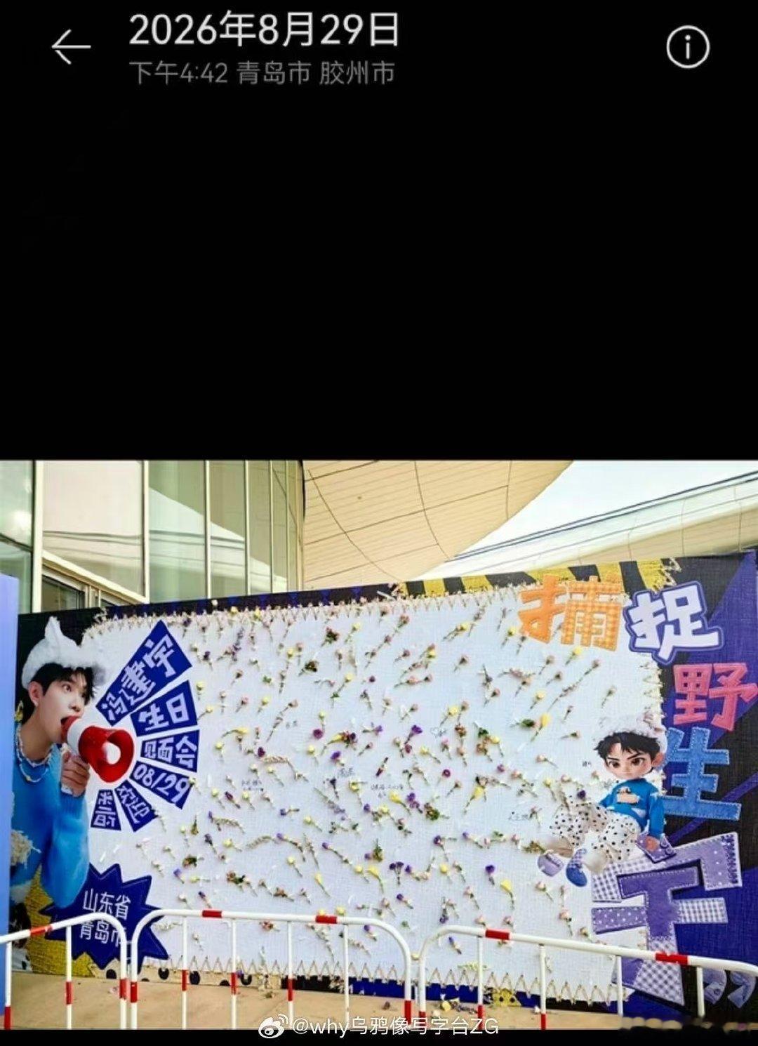 这种档次的花真不知道在感动什么？甚至对比与去年嘉兴的红玫瑰都垃圾，没收过花的现在赶紧上美团闪购买一束9.9的看看是不是比冯老师给的更好 ​