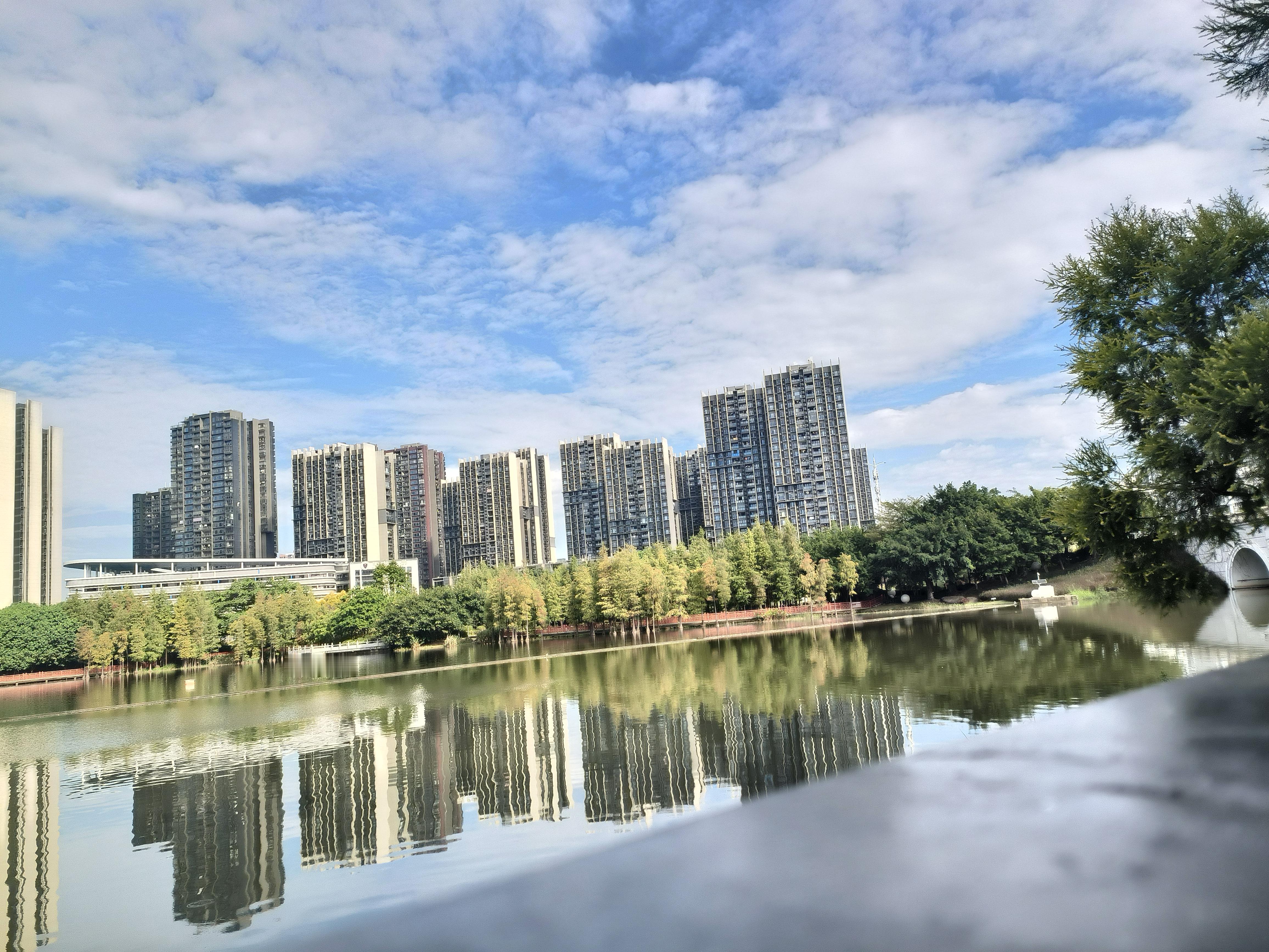 今日份快乐：随手拍 今天风和日丽，秋高气爽。为了莫负这冬日暖阳，决定到...