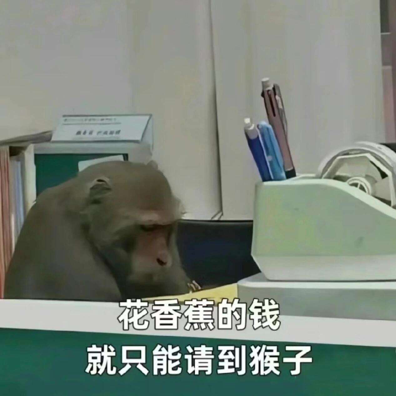 阴阳怪气的职场打工人头像