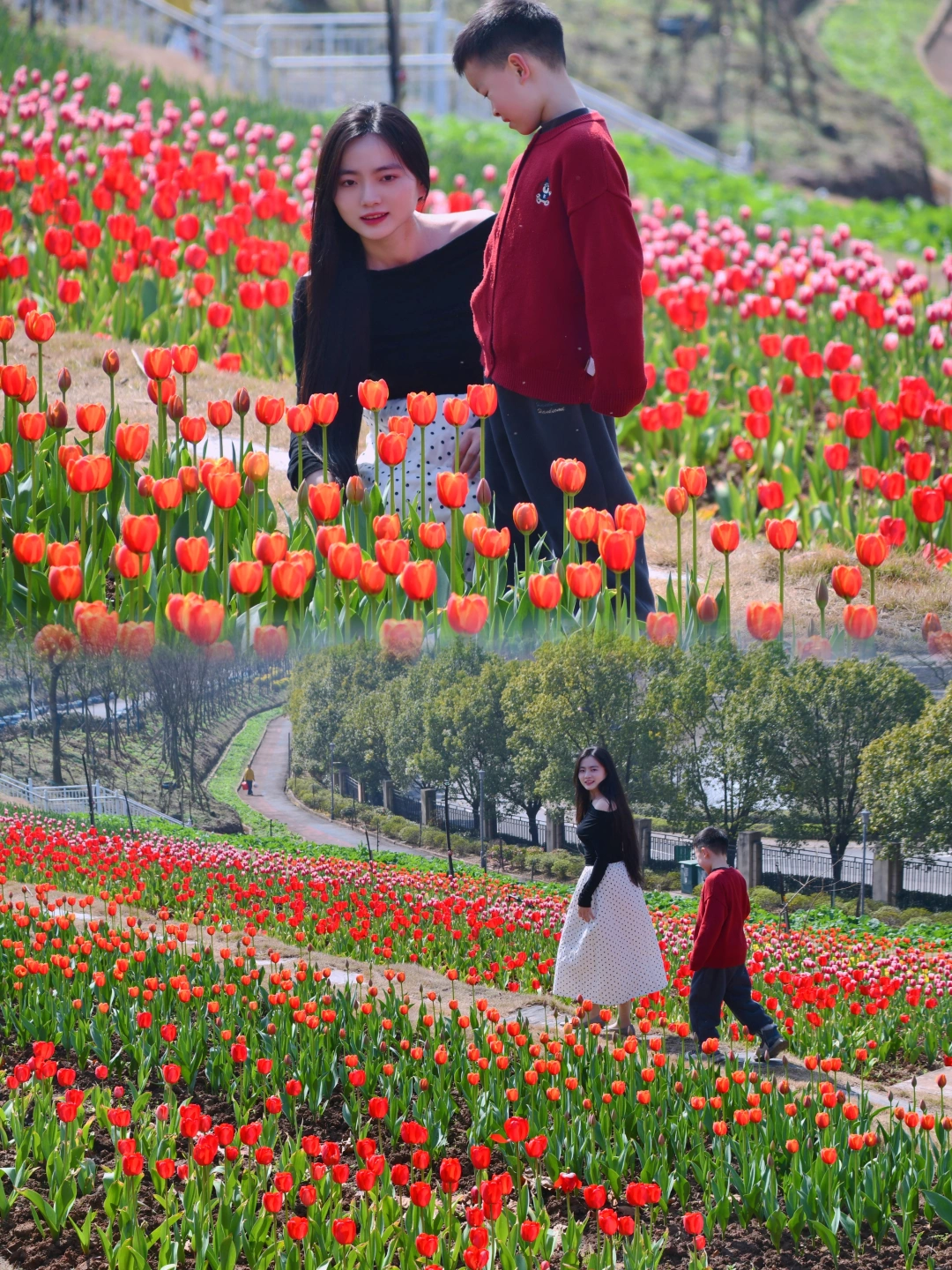 南昌周边🌷开满郁金香的游乐园