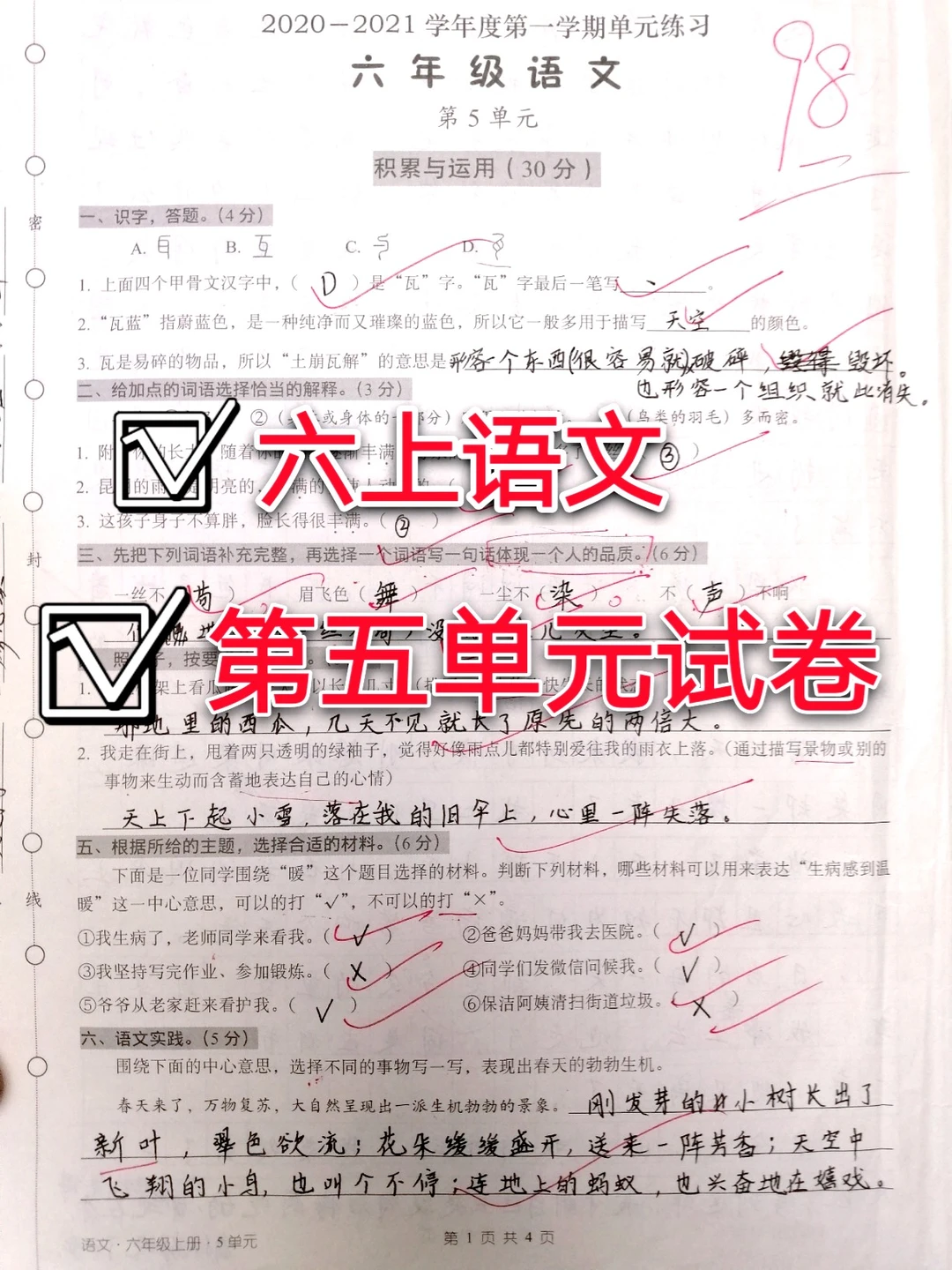 六上语文，第五单元测试卷