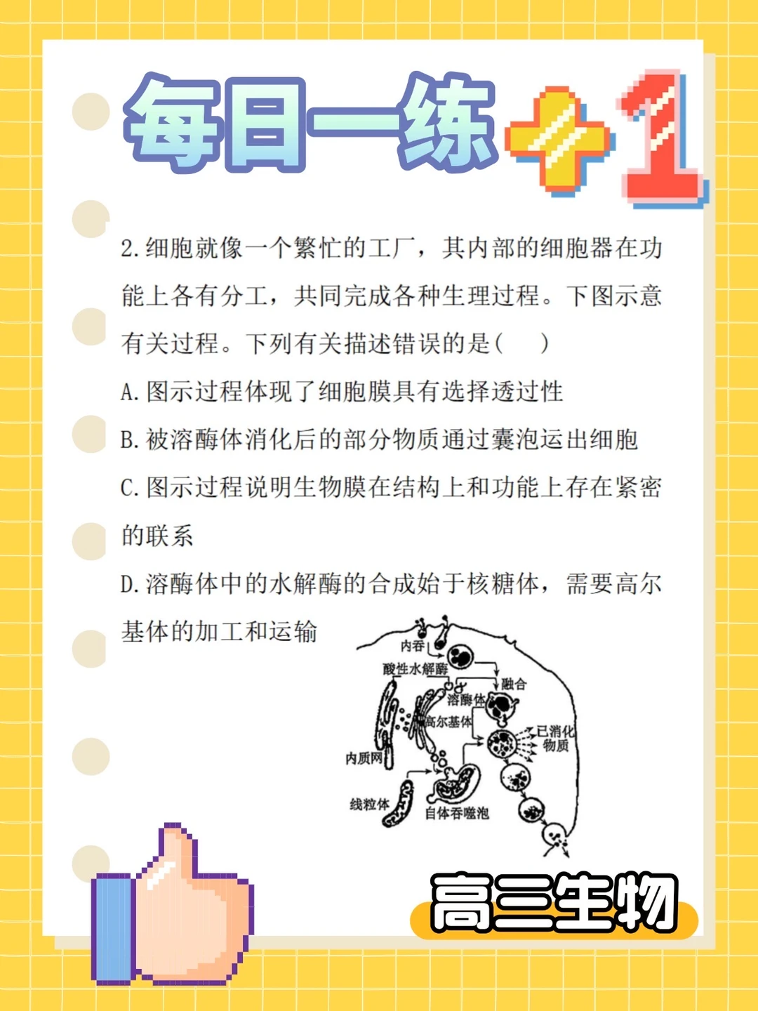 高中生物 | 每日一练：坚持就很酷