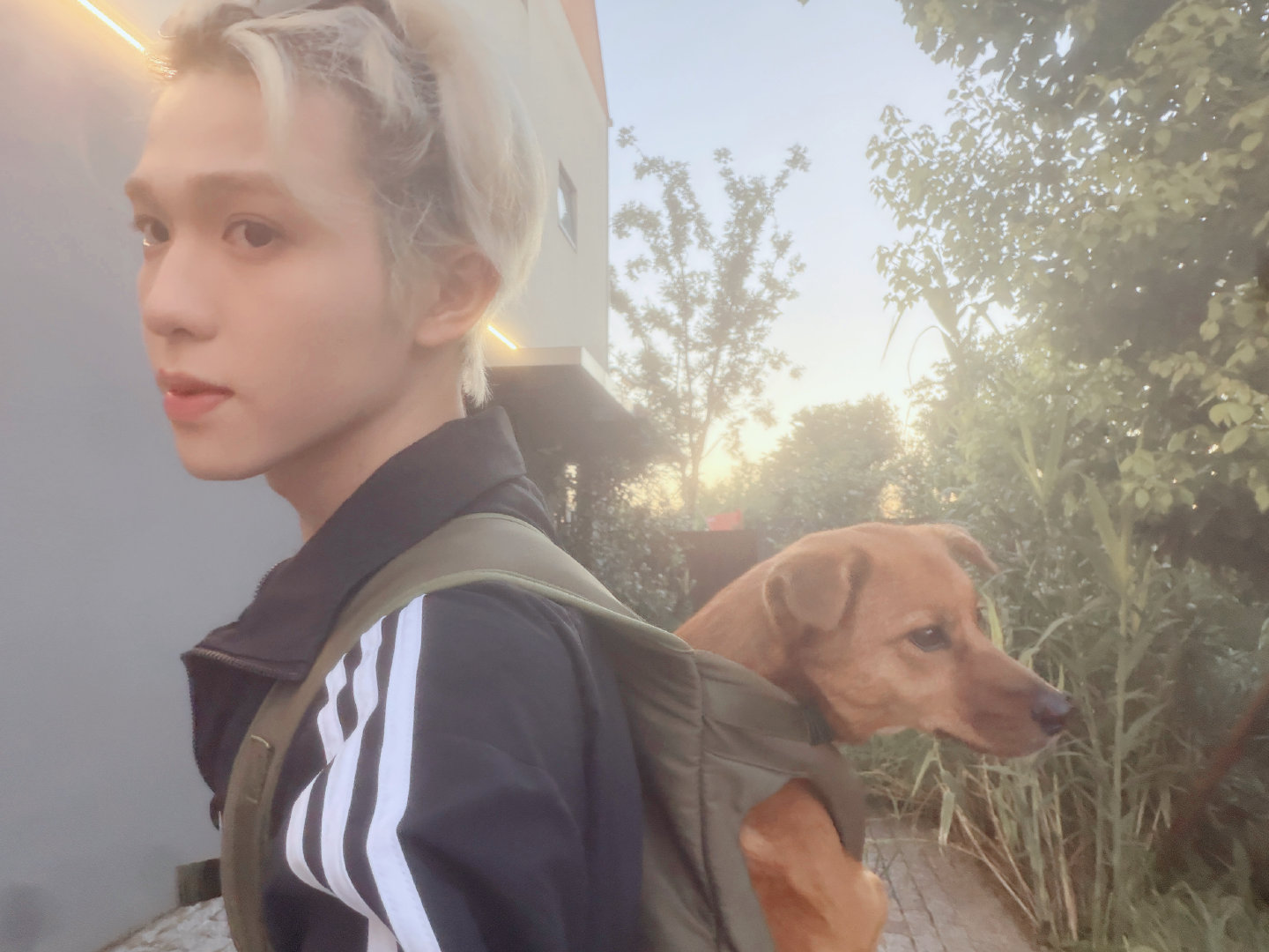 实至名归
#李昊[超话]# ​