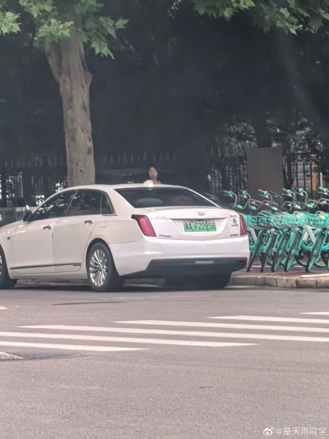 第一次见绿牌子的凯迪拉克。 ​