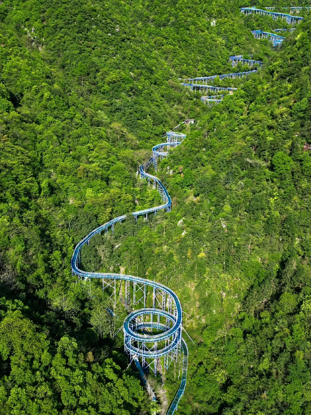 到底谁还没去过杭州3800米的森林漂流啊！！