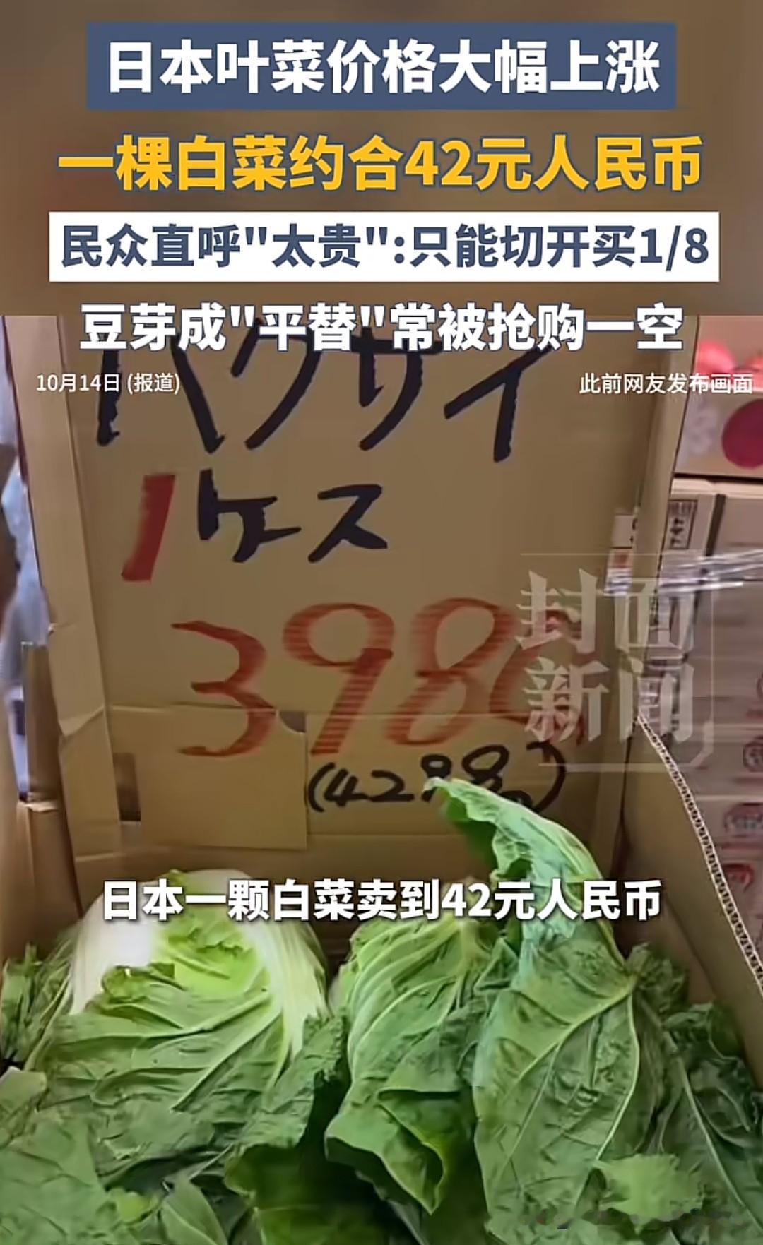 日本近期叶菜价格大幅上涨，白菜零售价折合约42元人民币，当地民众只能切开买1/8棵，豆芽成热销平替，而国内网友对此事的看法分成了两派，有人觉得时薪高这点菜价不算贵，也有人站出来指出实际日常开销的压力远超大家的想象。
很多人对日本的印象还停留在“时薪高赚得多”，下意识觉得42块钱一棵白菜根本不算什么，
