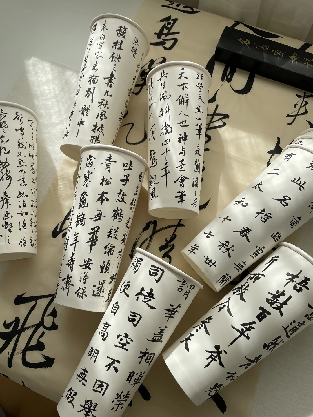 家里的阳光真好☀️