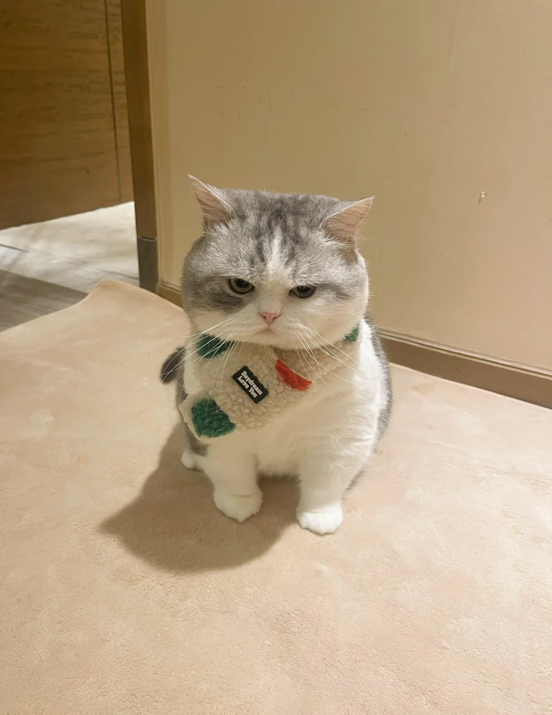 回家没摸它头就这样