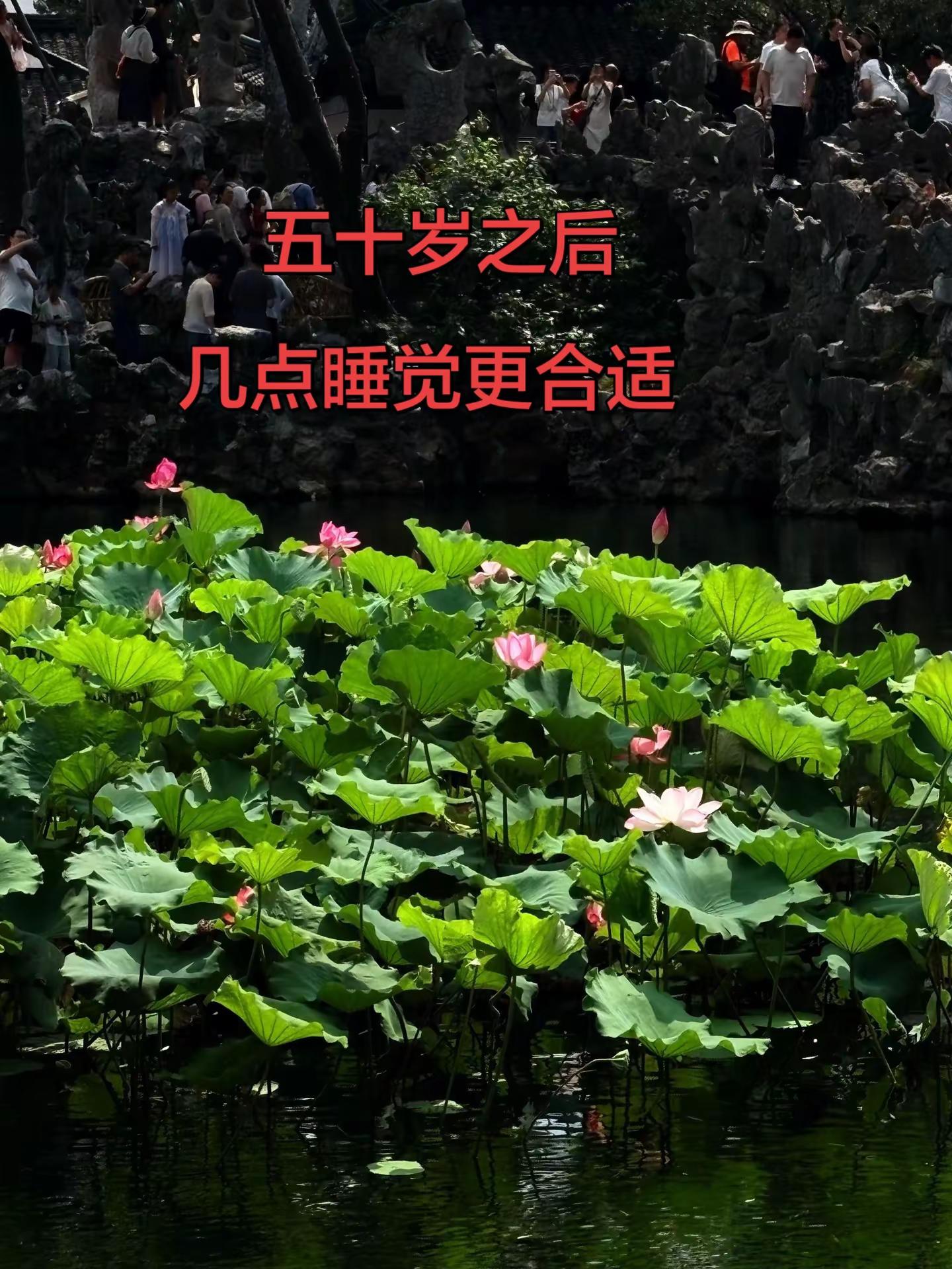 第二届