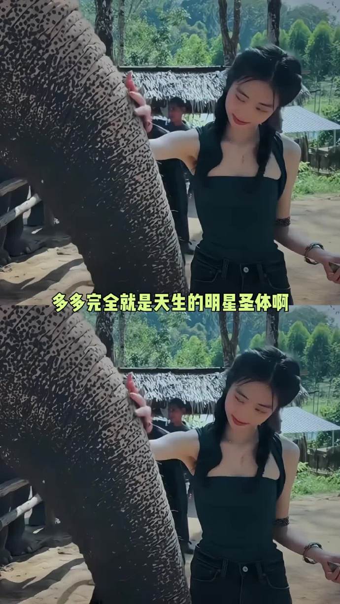 《爸爸去哪儿》的黄多多长大啦！乌镇戏剧节现场流利英文翻译，从容松弛，落落大方。