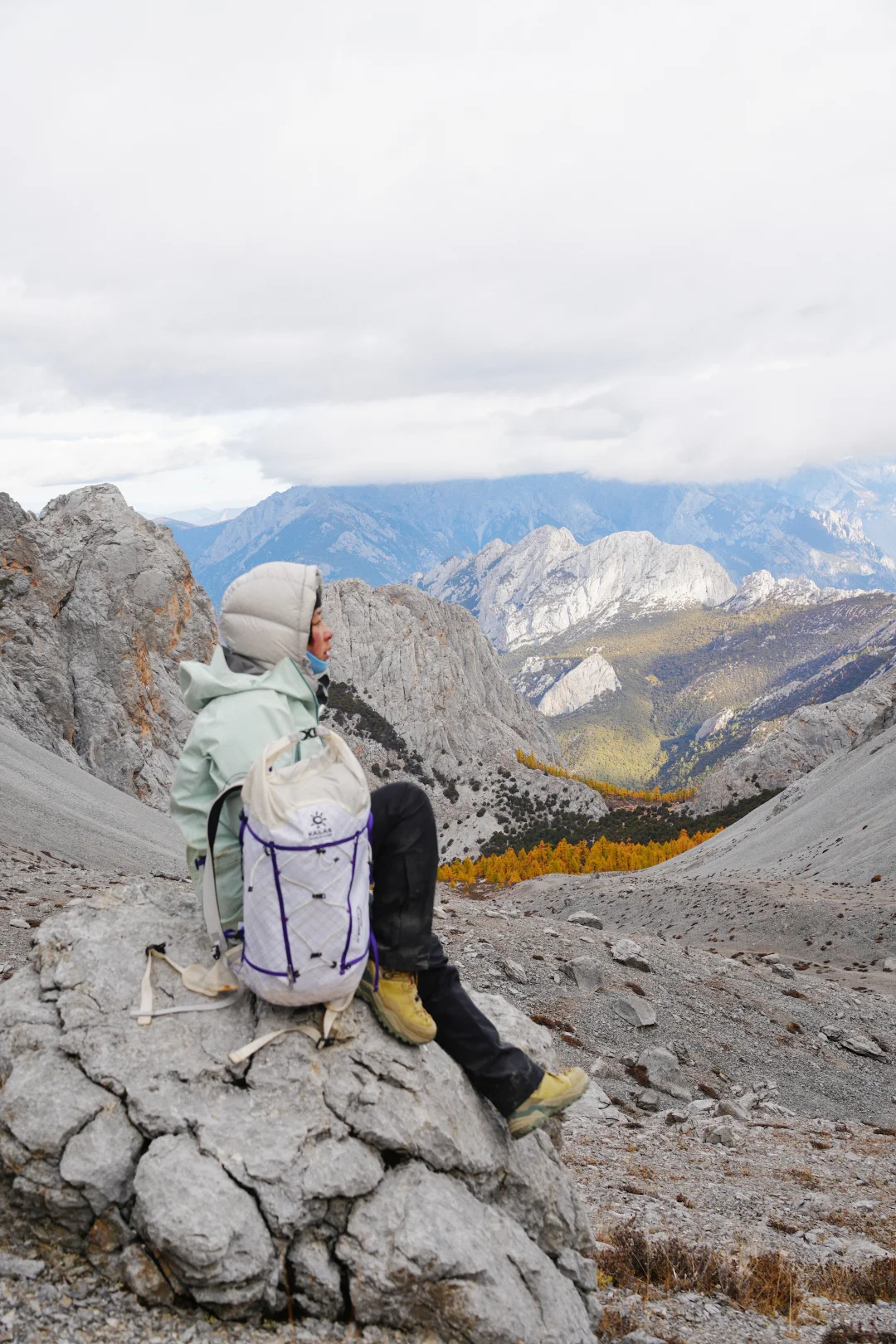 失约的哈巴转战双子峰｜附攻略