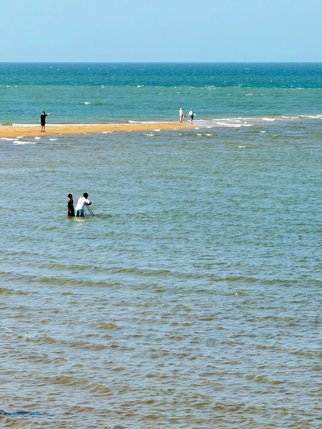 海口附近一片拖尾沙滩❗️捡贝壳🐚到手软
