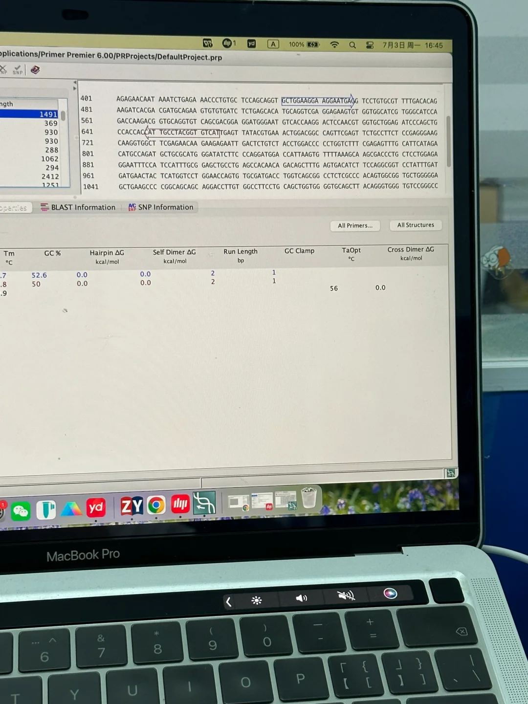 科研建议：不要参考文献里的序列