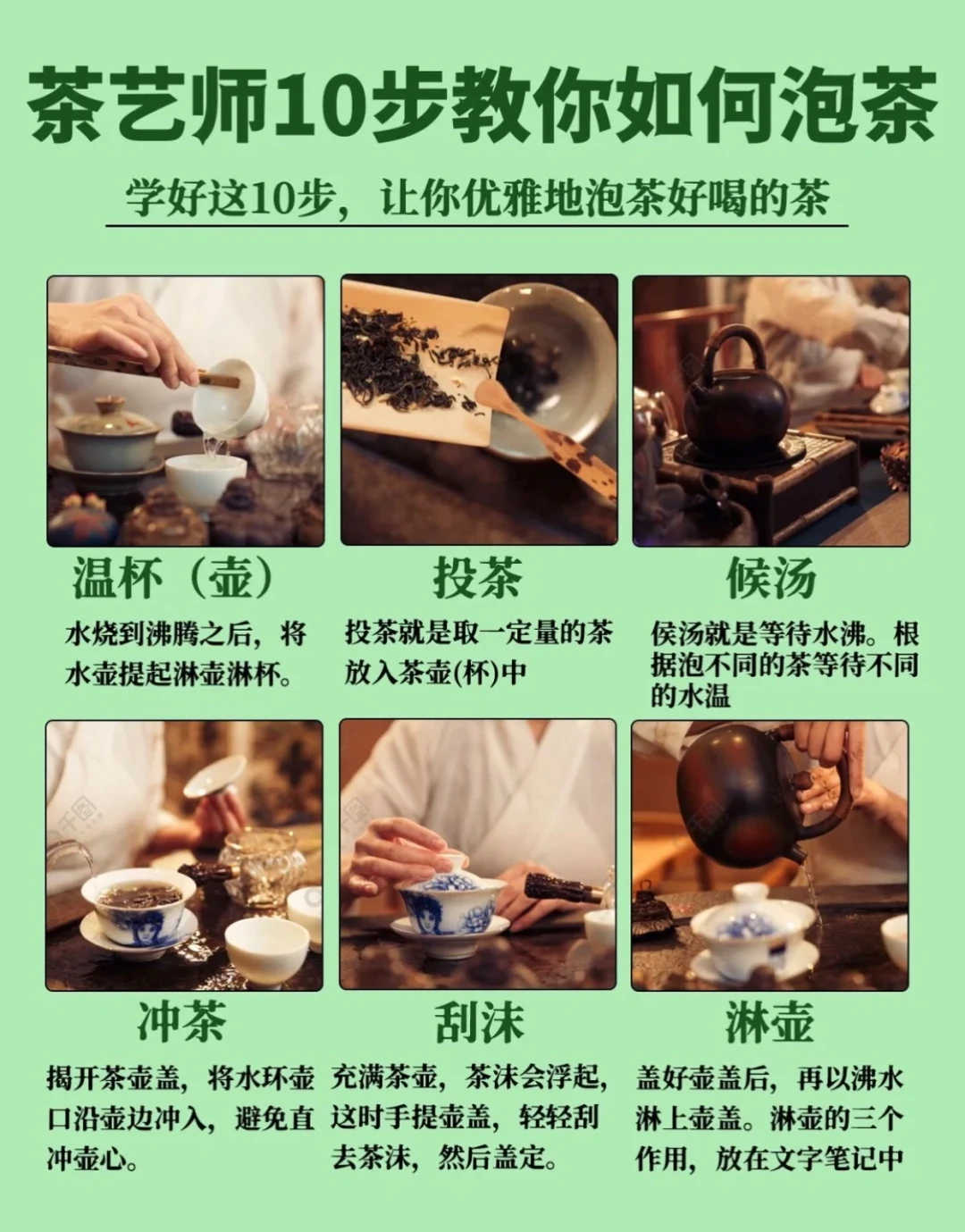 一看就会，10步教你如何泡茶！