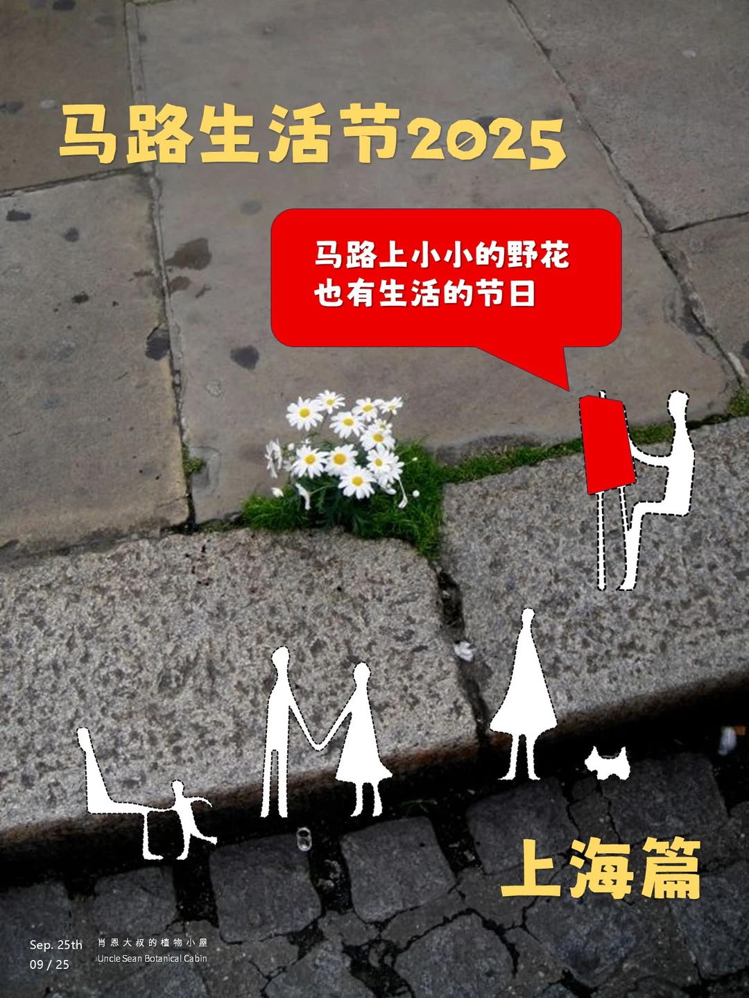 小小野花也有生活的节日🌼，马路生活节！