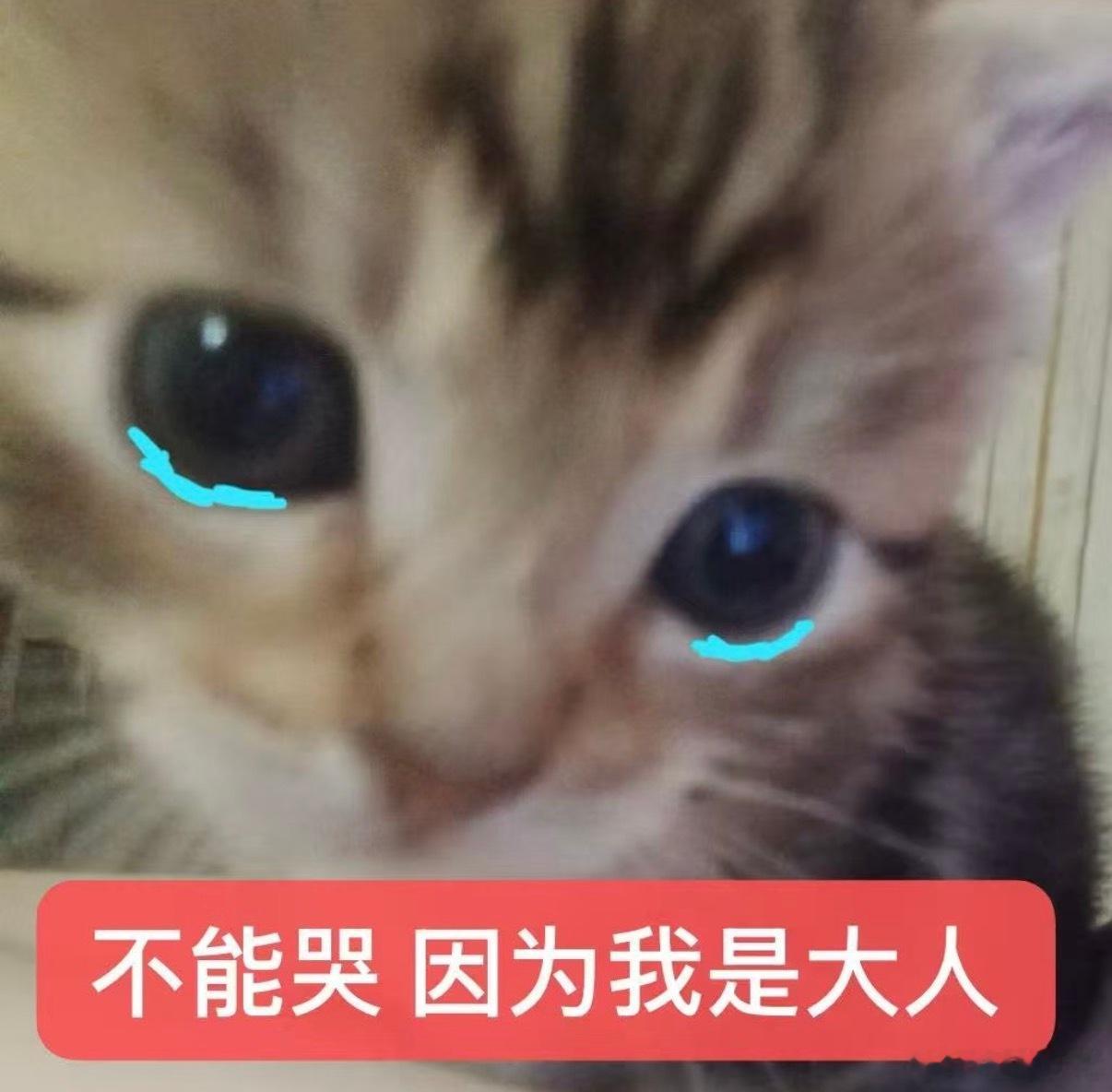 华西，急症抢救室，隔壁躺了个心态巨好的小孩哥，5 岁左右吧，被蛇咬了。他问兜崽怎么了，我说发烧了。他一边啃香蕉一边说：“我们今晚回不去了。我和我二妹被蛇咬了……”我：“………”他让丑爹帮忙扔了香蕉皮，绘声绘色说他被黑色的蛇咬了，那蛇不粗。我：………然后我这会听见医生说血清不够，目前只有一支，医生还在打电话调血清