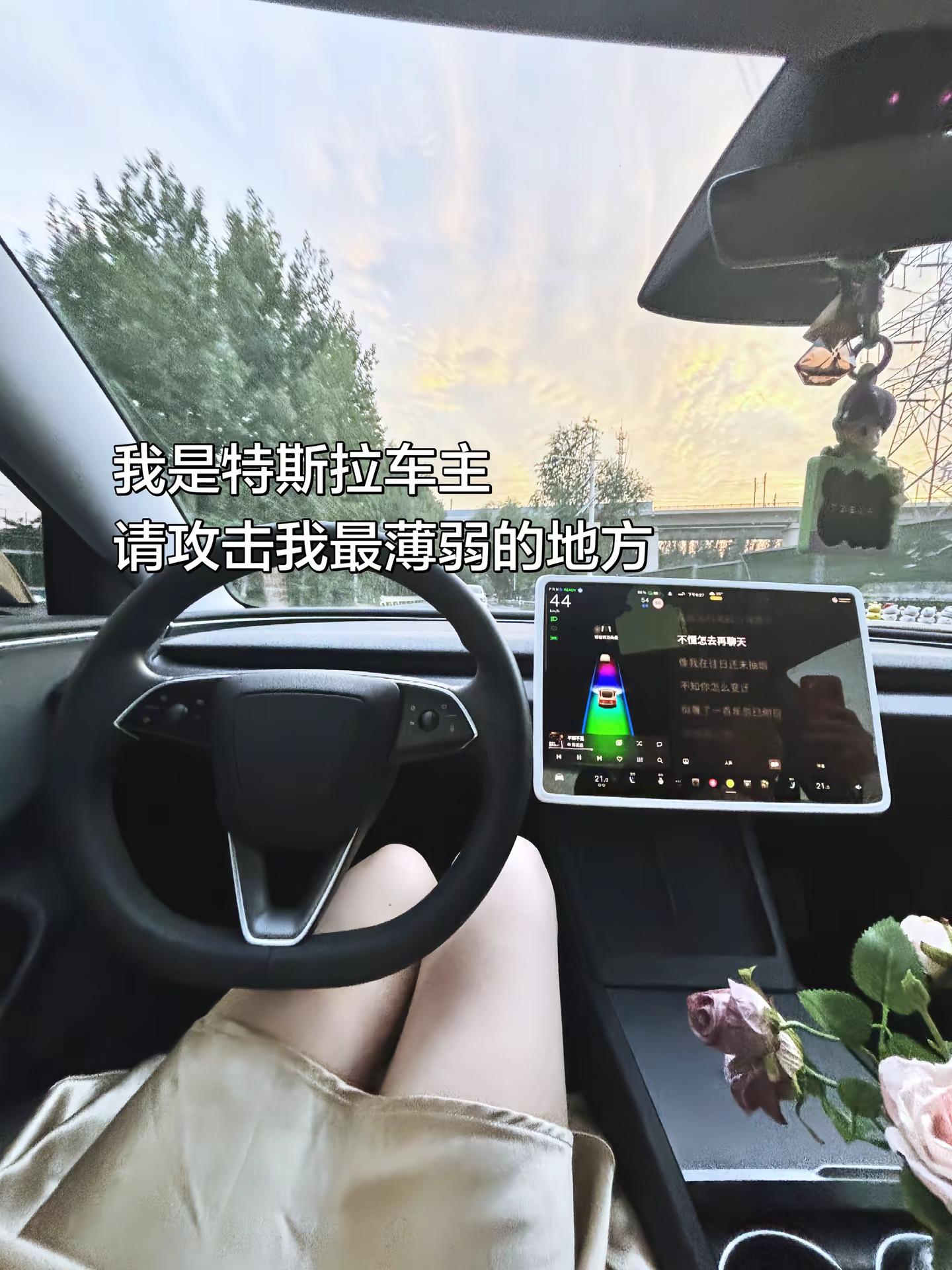 我是特斯拉车主！请攻击我最薄弱的地方！特斯拉车主 特斯拉model3