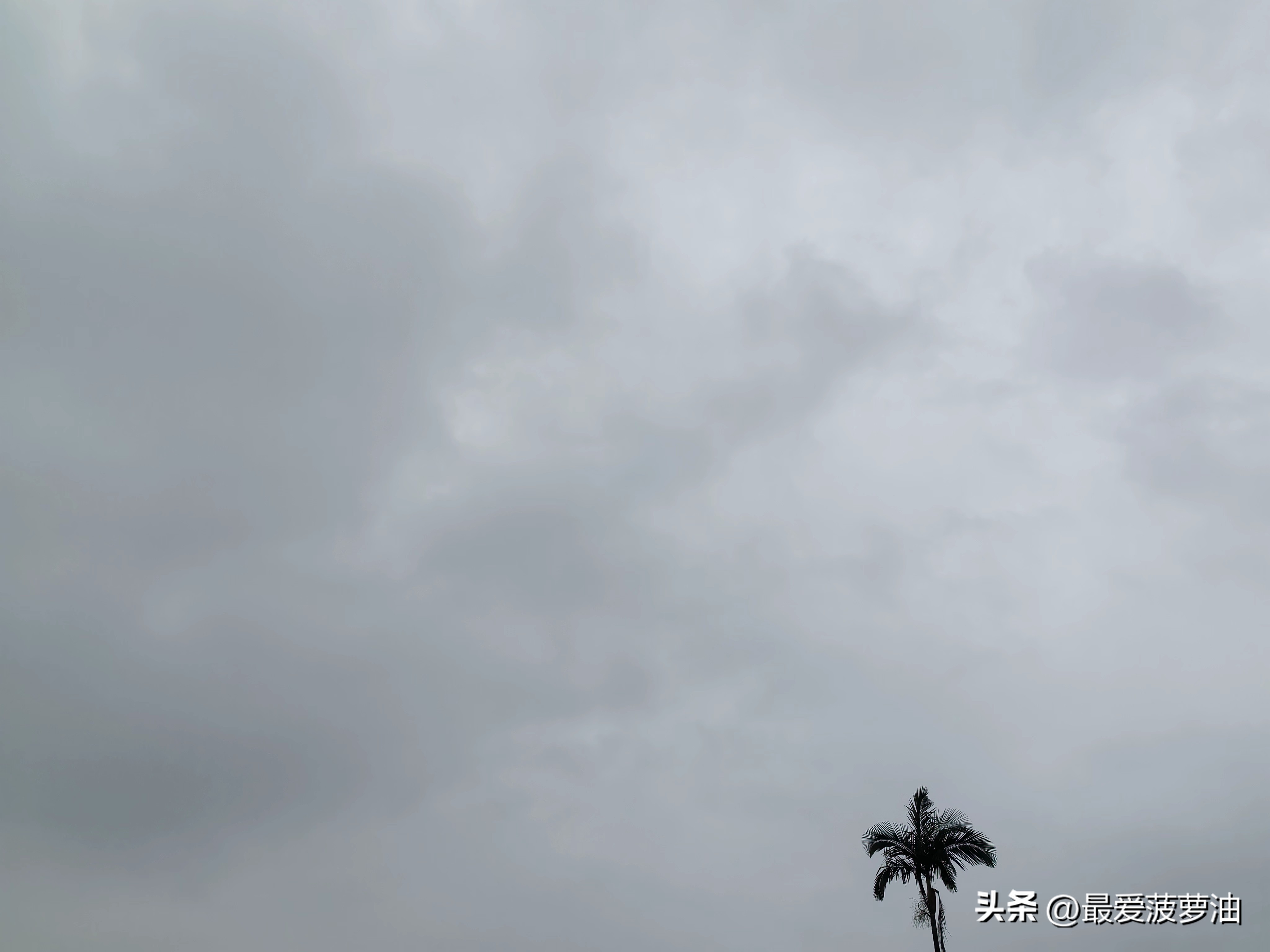 阿冷国庆节加班给广东送清凉！

国庆假期，广东无台风和大范围连续性暴雨过程。其中假期前期（10月1～3日），受弱冷空气前锋影响，我省雷雨逐渐增多，局部雨势大并伴有8级左右雷雨大风，35℃以上高温范围逐渐缩小。

假期中期(4～5日），受冷空气主体南下影响，我省（雷）阵雨转多云，气温下降3~5℃，高温
