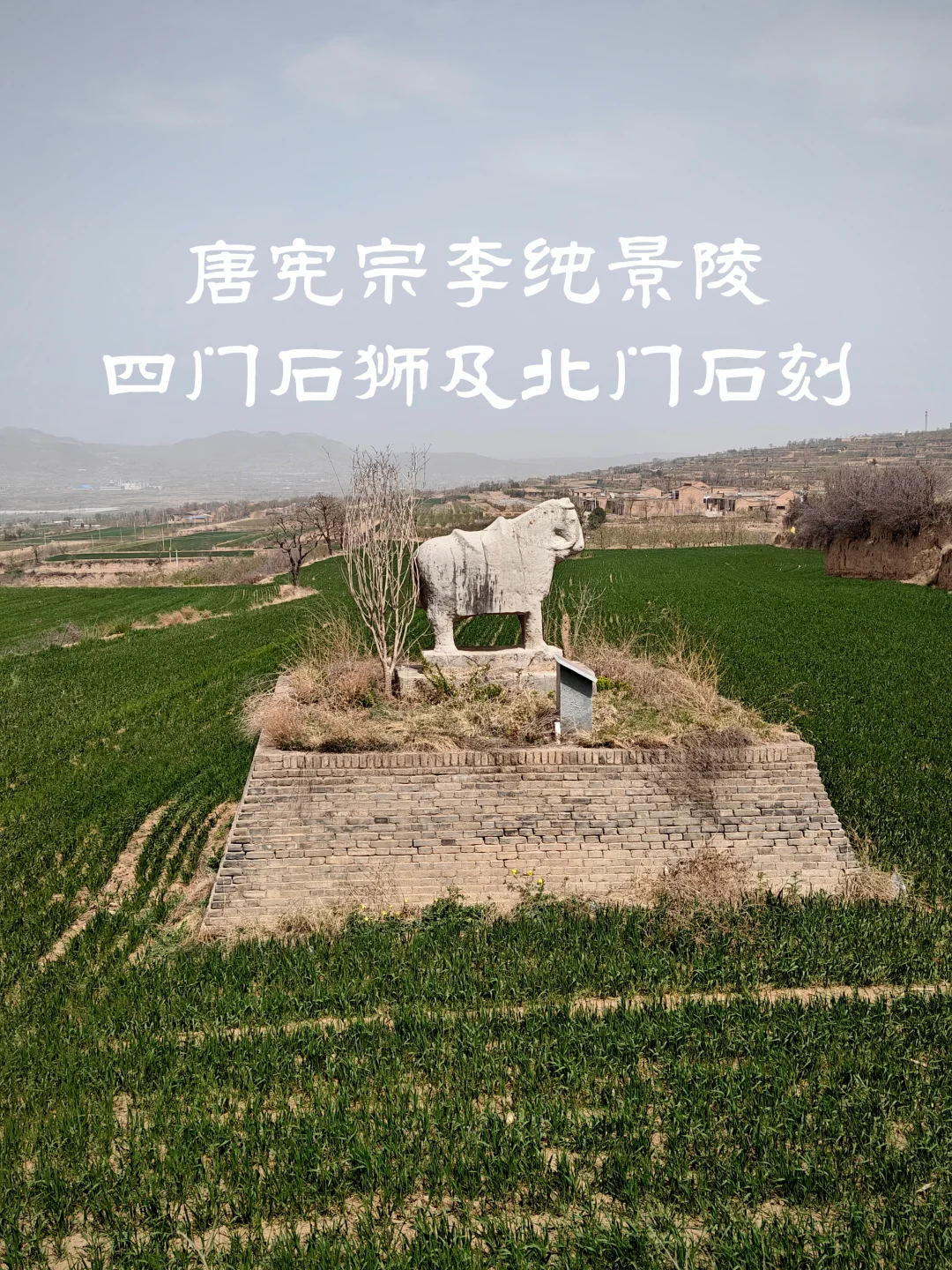 唐宪宗李纯景陵四门石狮及北门石刻