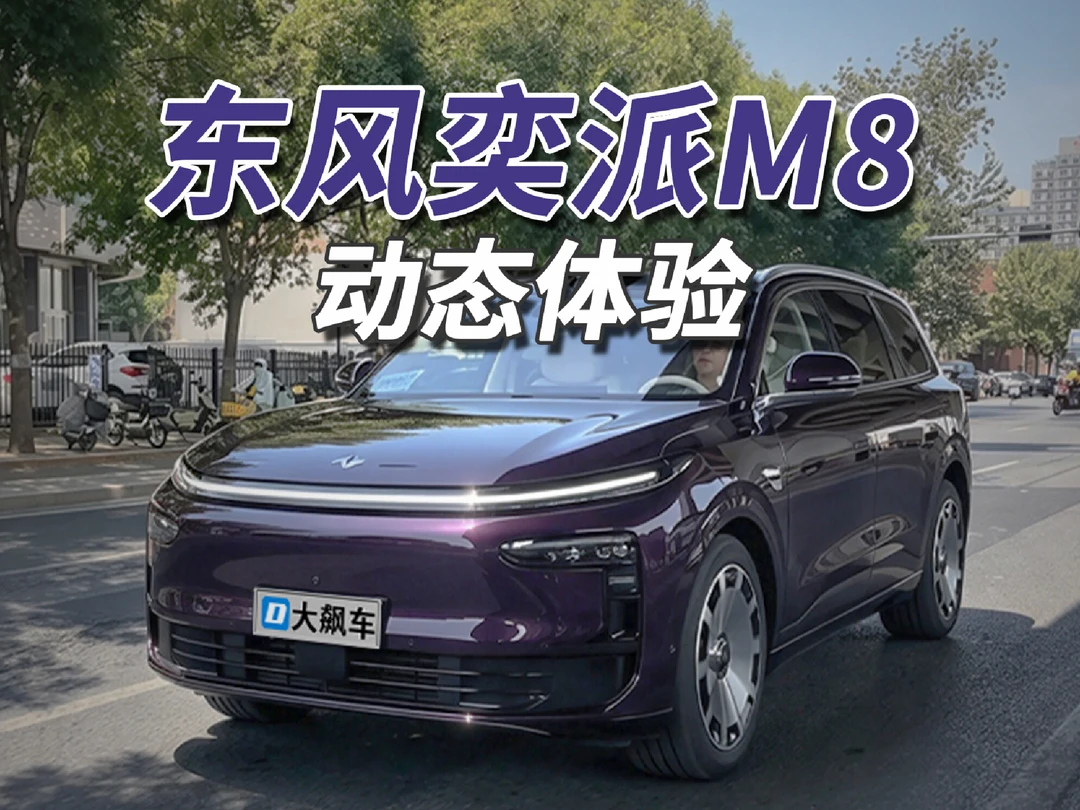 天花板级别的辅助驾驶，根本不想自己开！