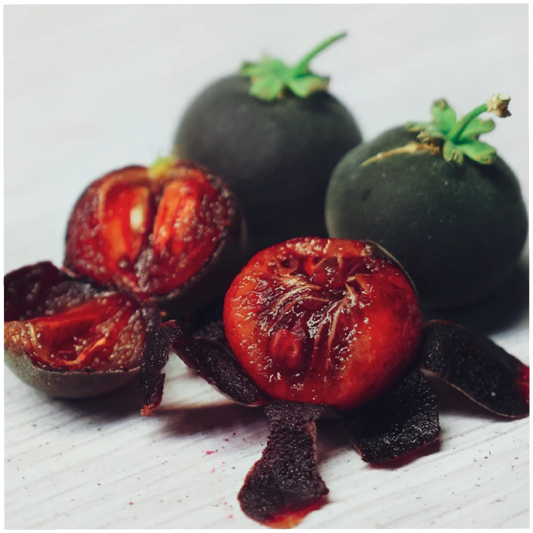 解锁新浆果～锡兰醋栗Dovyalis Hebecarpa