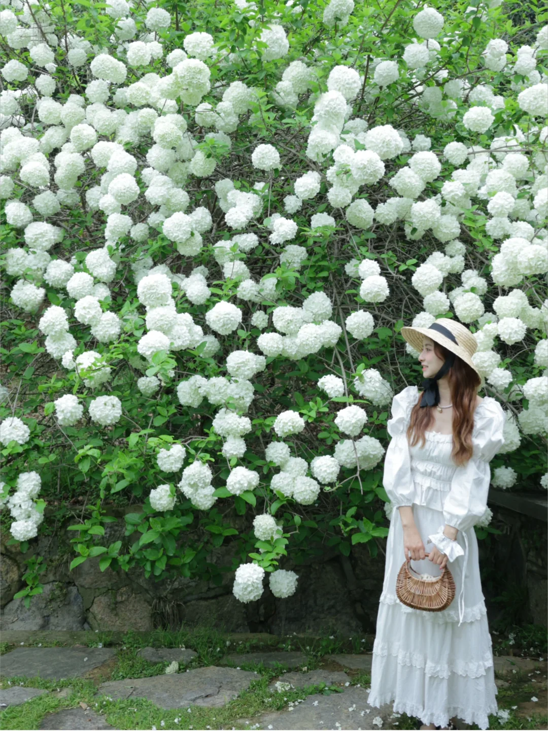 浪漫预警🌸接下来的武汉1️⃣2️⃣个绝美赏花地