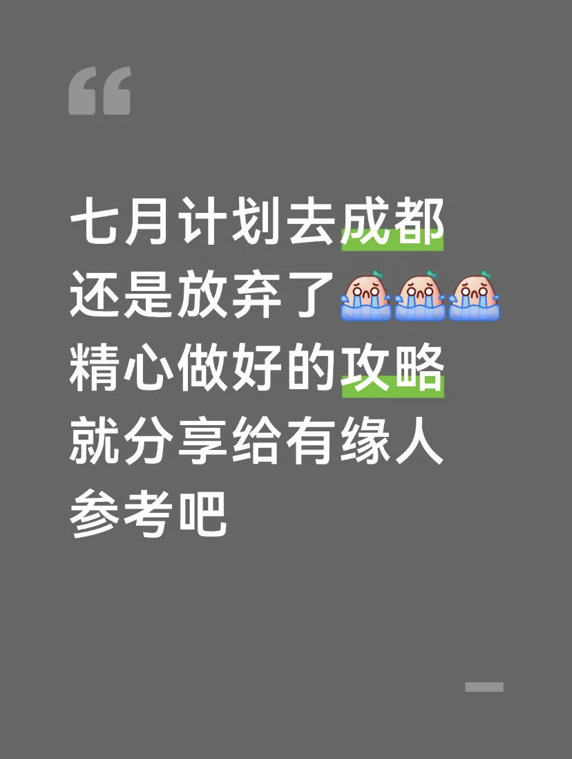 本J人花24h做的成都攻略已经next level了
