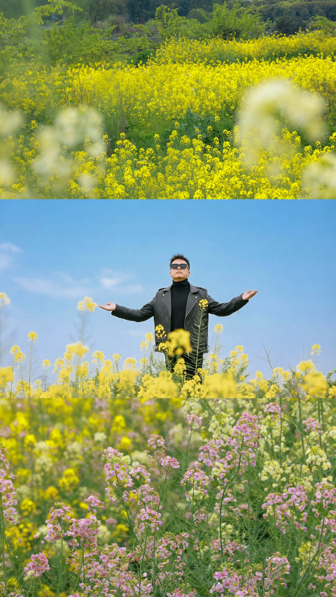 重庆新民村彩色油菜花赏花攻略🌈‼️