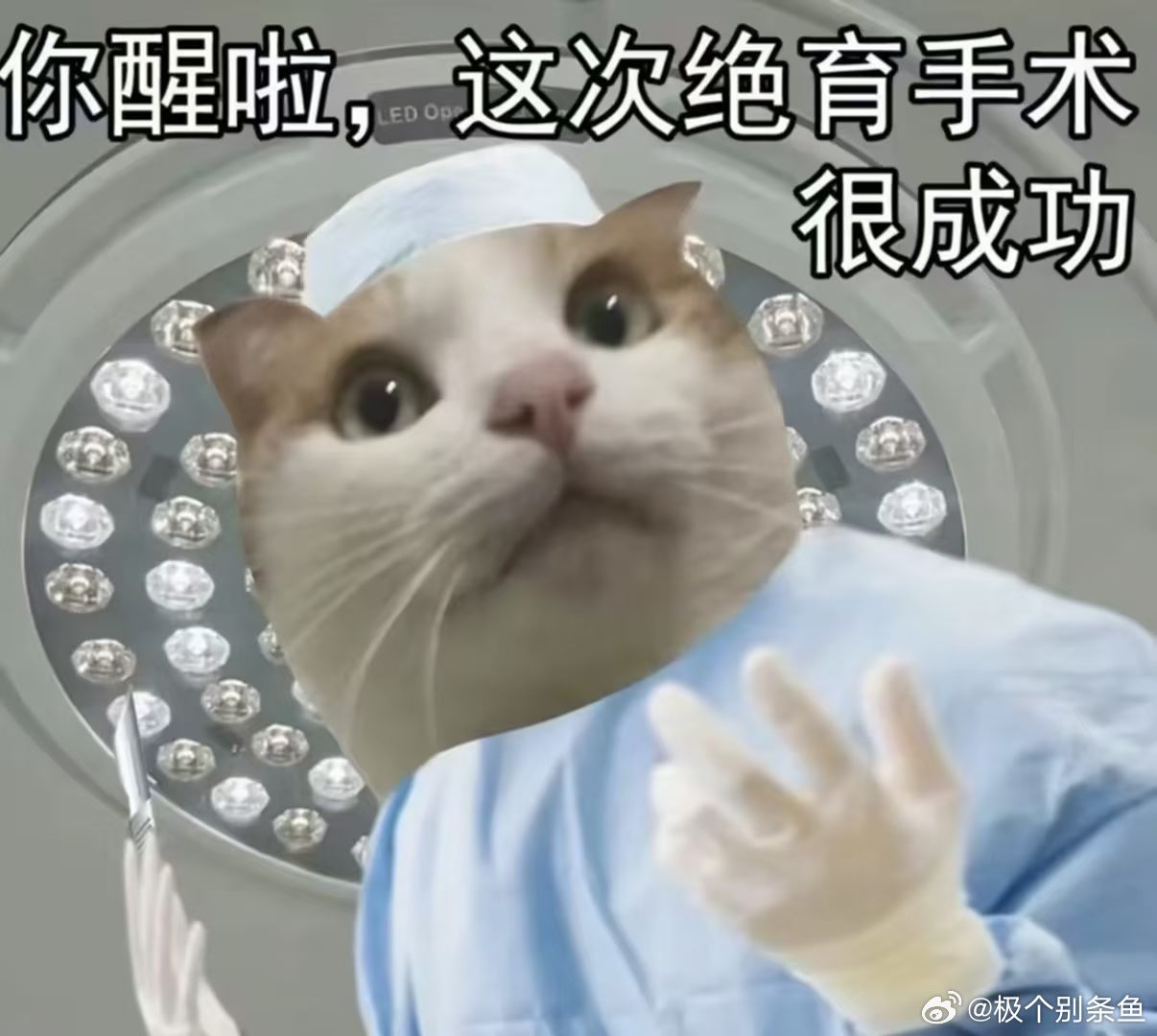 以前告过度医疗 现在告漏诊[拜拜]没救了[拜拜] ​
