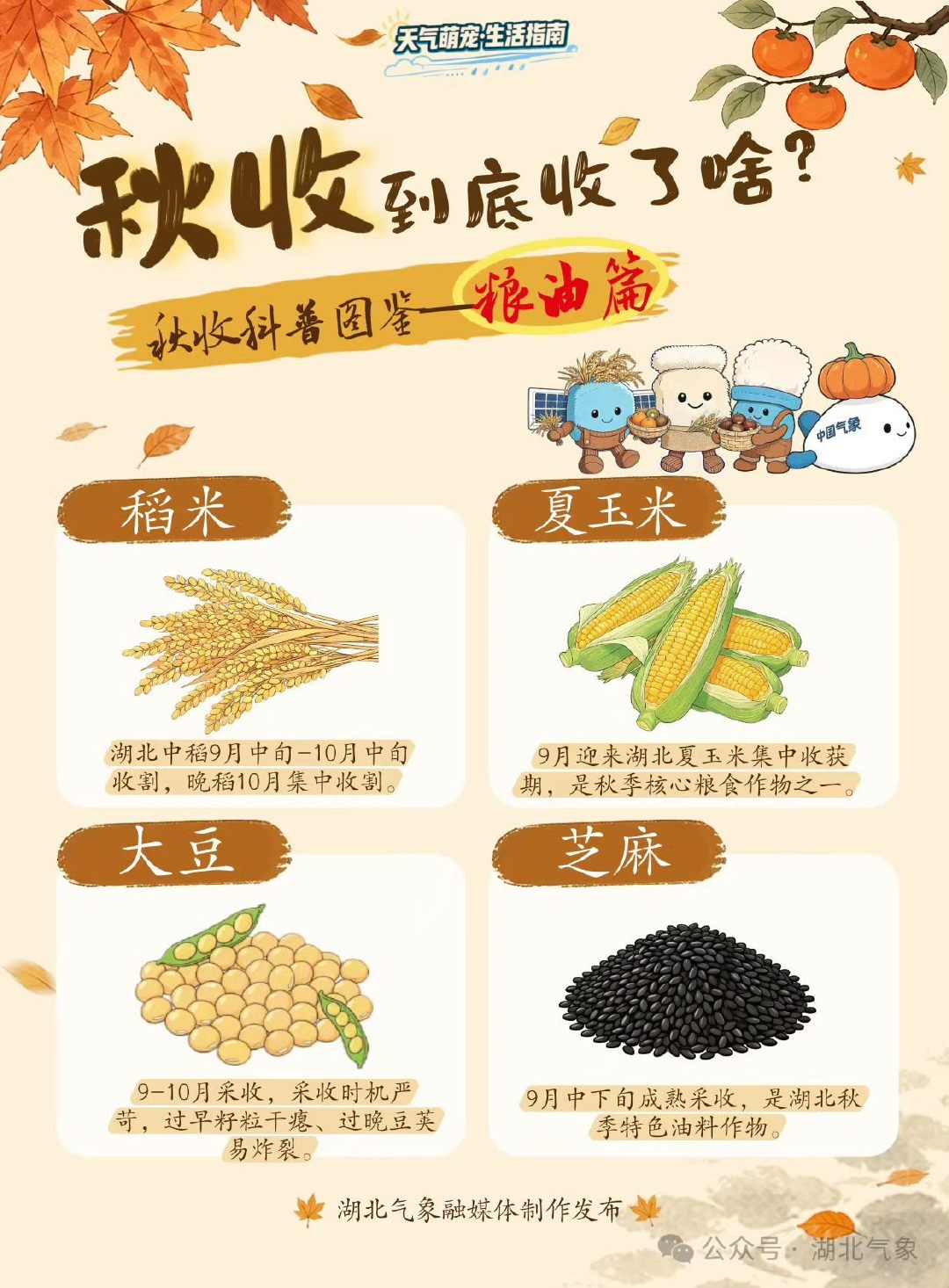 “春种一粒粟，秋收万颗子”每年九月中旬至十一月中旬，是秋收秋种关键期，民间常说“秋高气爽催物熟”，秋收究竟收些什么宝贝？ ​