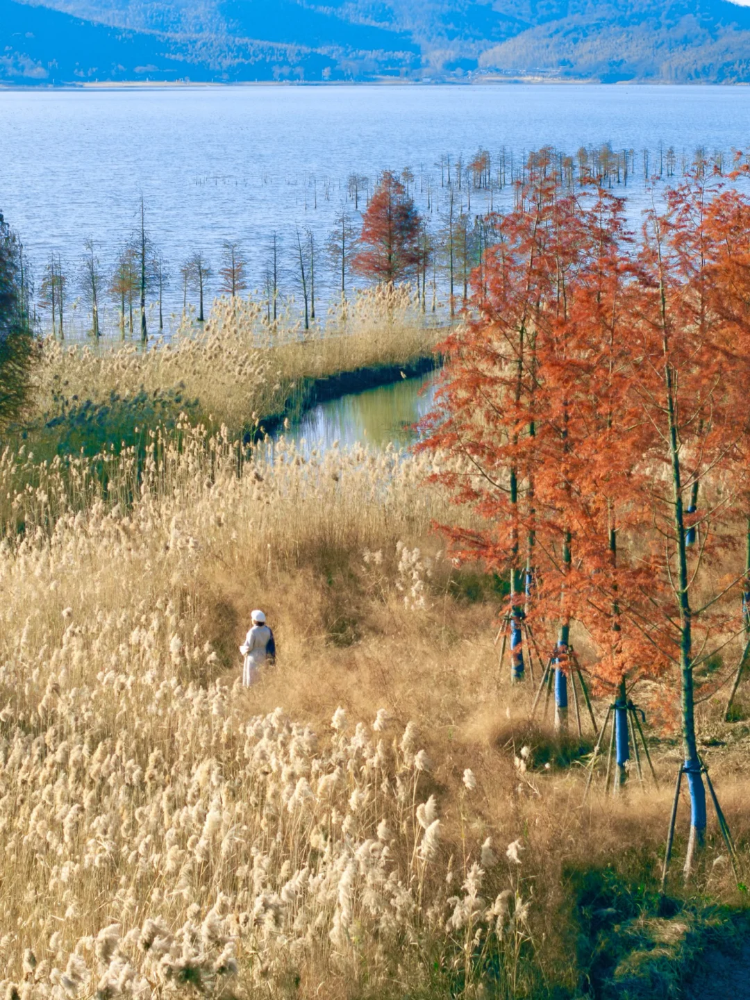 现实油画世界！溧阳这条线太治愈了！