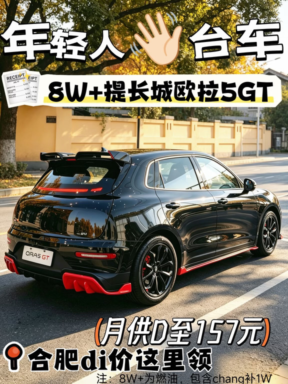 长城欧拉5GT，本月价格谈到8万+，有人要吗