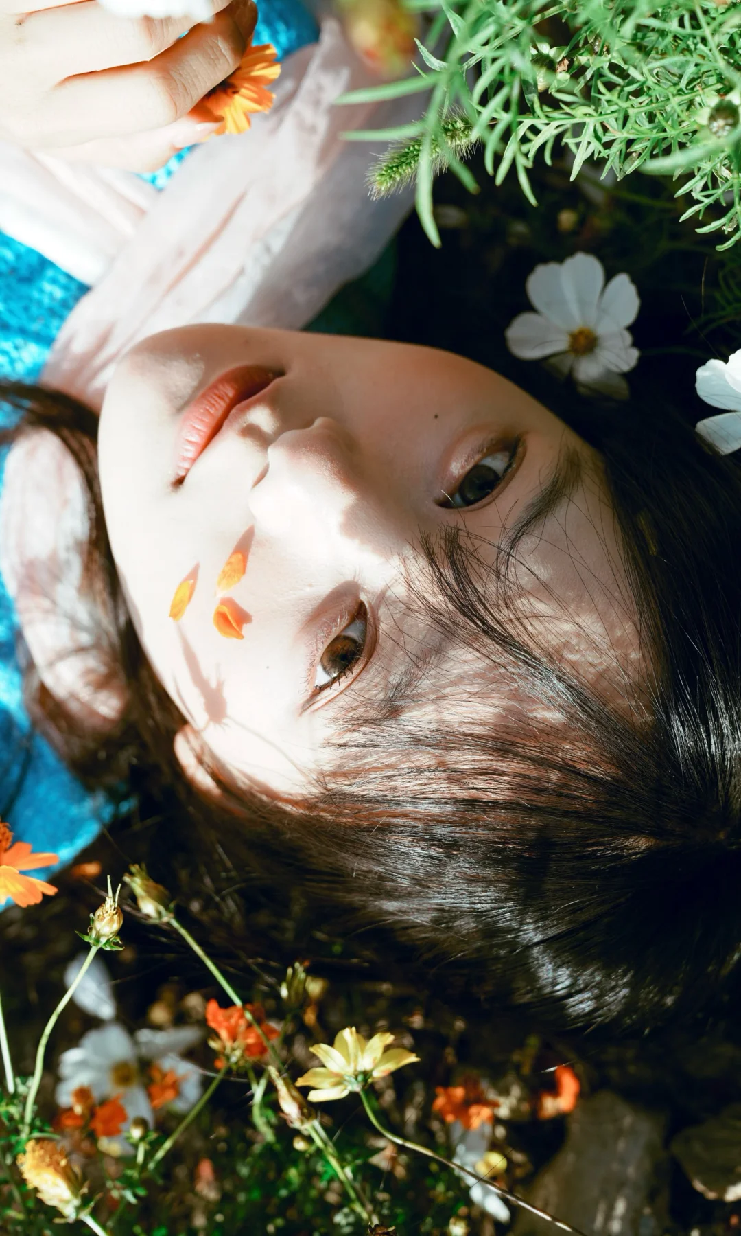 全屏感受我镜头下的花海