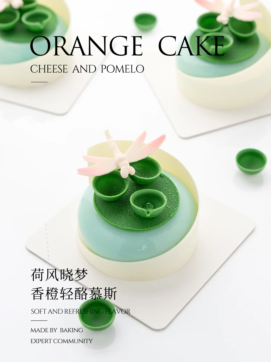 荷风晓梦🍃蜻蜓轻点，荡漾开一池夏光