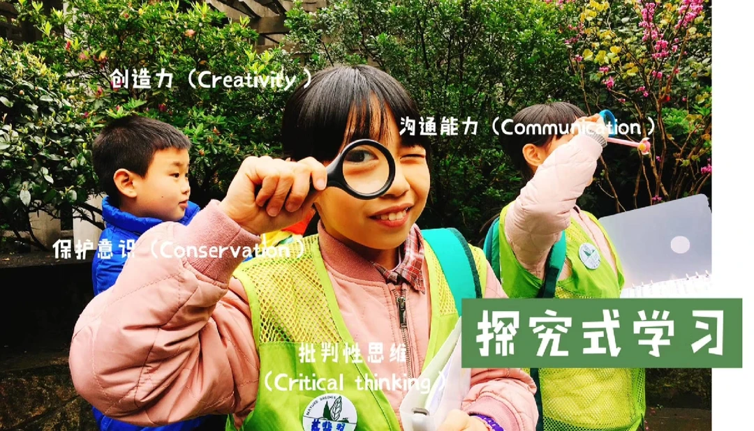 秋季自然探究课