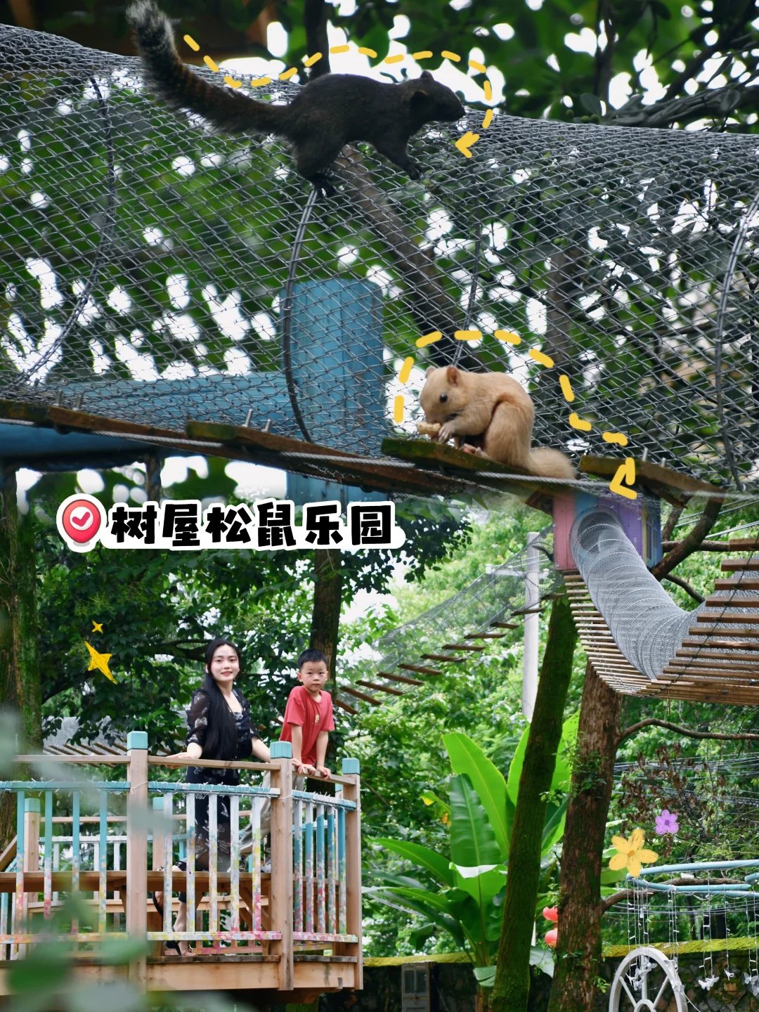 南昌遛娃🐿️发现一个免费的松鼠乐园