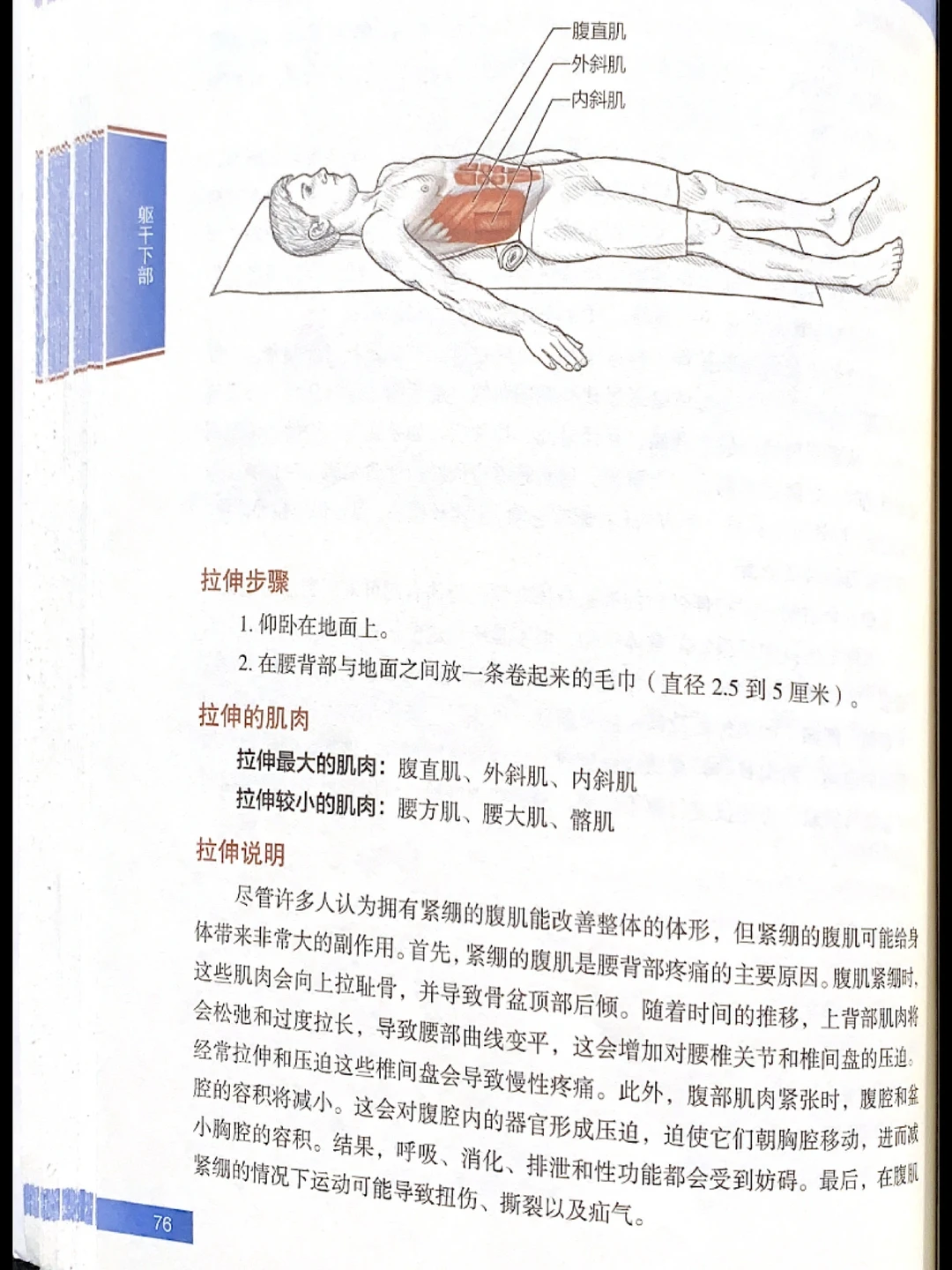 腹部拉伸训练｜马甲线来了｜拉伸运动训练