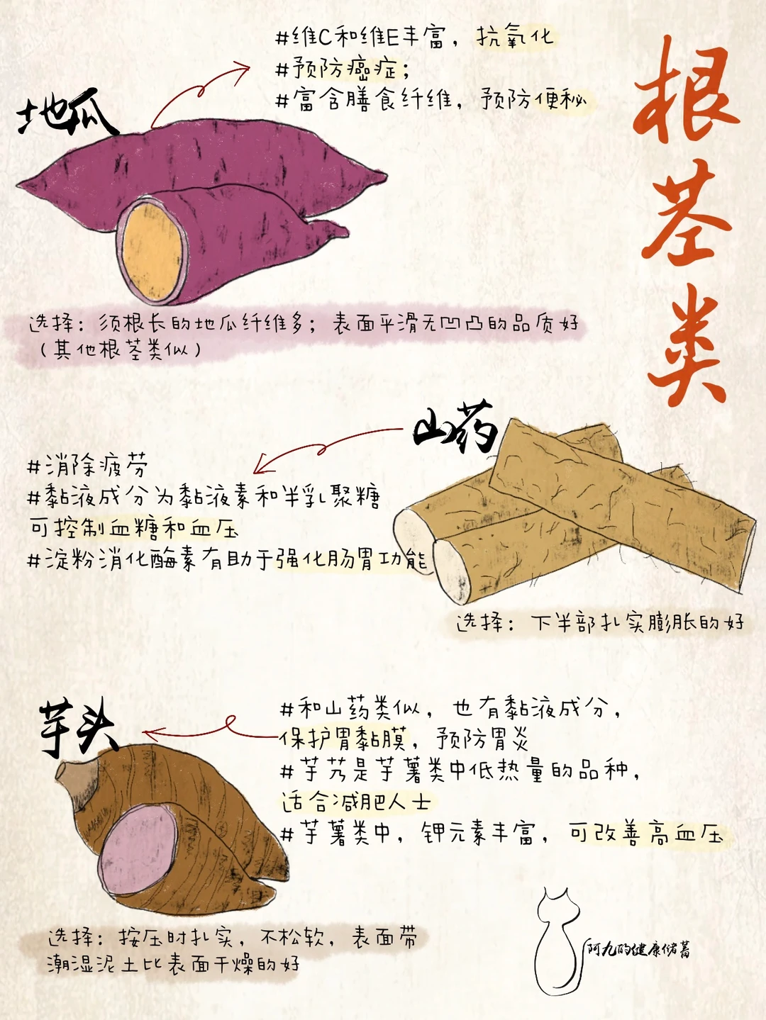 秋季蔬果｜应季养生