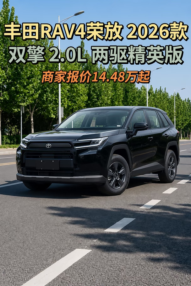 RAV4荣放双擎2.0L两驱精英版