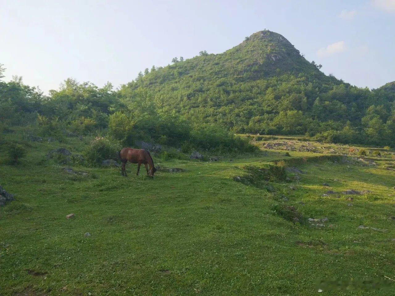A股跌到3864点，最后的警告，无论你几成仓，听我一句劝！

一、地量还在后头

A股今天是"指数扛跌、个股下杀"。沪指跌0.54%，但科创50逆势涨1.55%，是唯一收红的主要指数。成交量1.61万亿，比昨天缩量177亿，继续刷新今年的地量。个股只有1120只红盘，市场毫无生机。

10年期美债收益率升破5.02%。油价 ​