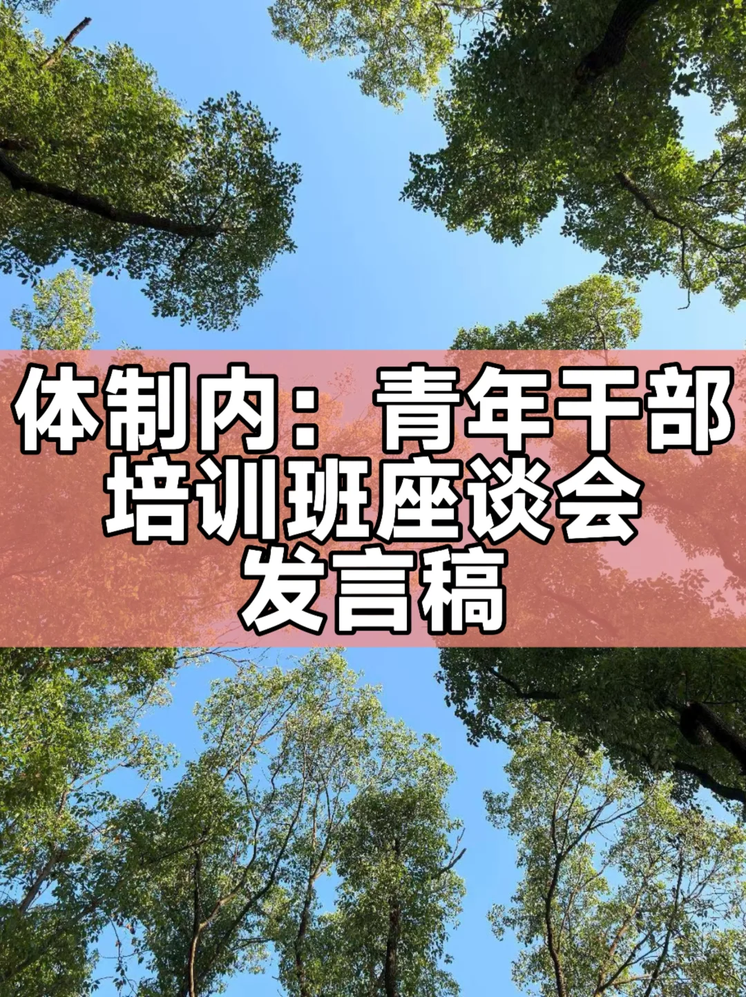 体制内：青年干部培训班座谈会发言稿