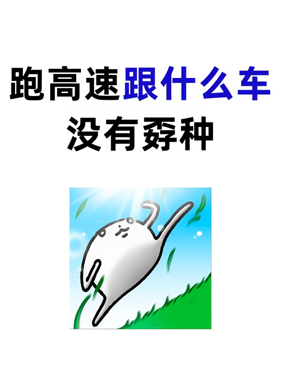 高速跟什么车开得很爽？