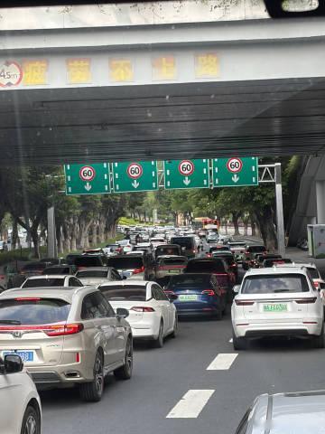 到底连续几天去五山了