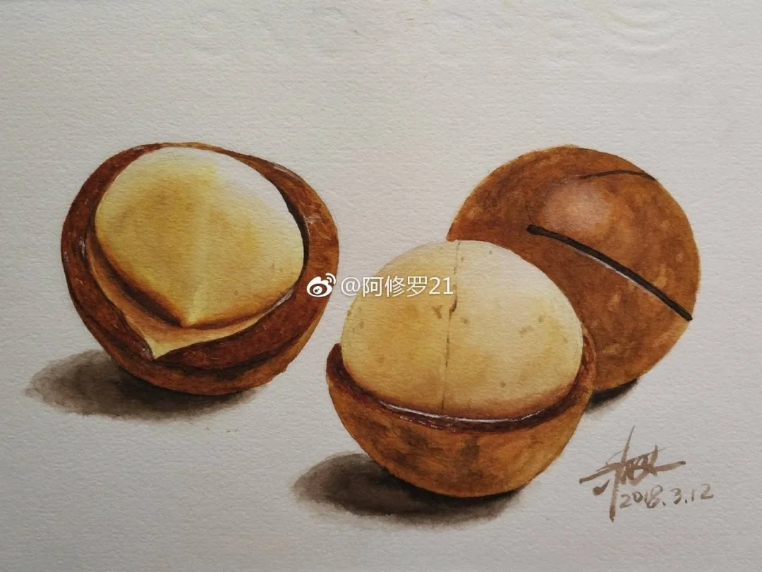 水彩，夏威夷果。