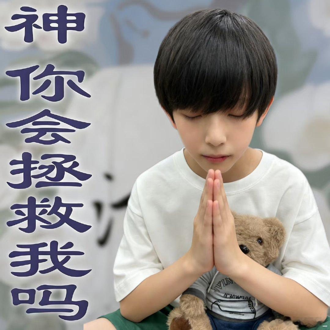 为明星要死要活发现我明星还在备战中考。 ​