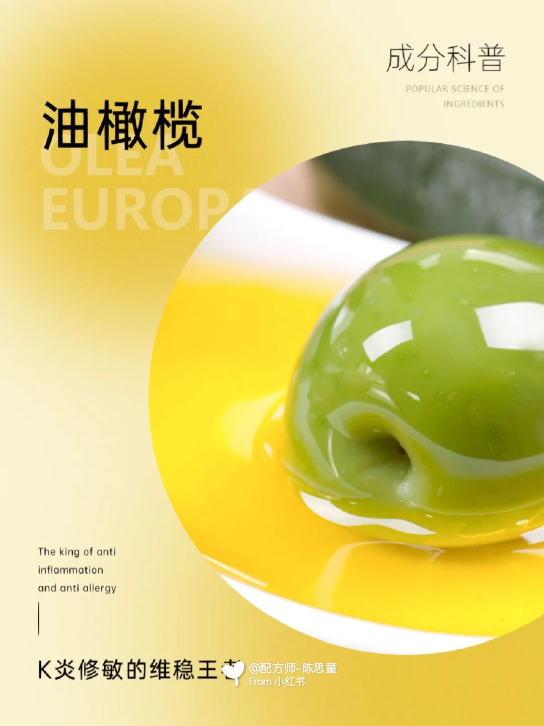 成分科普|K炎修敏的维稳王👑——油橄榄