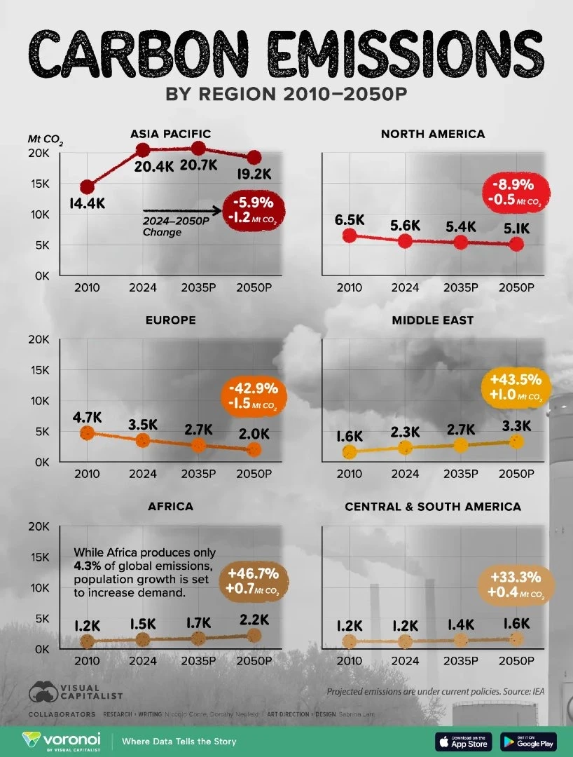 到 2050 年，全球碳排放的真正走向：谁在下降